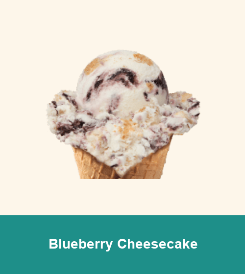 Blueberry Cheesecake